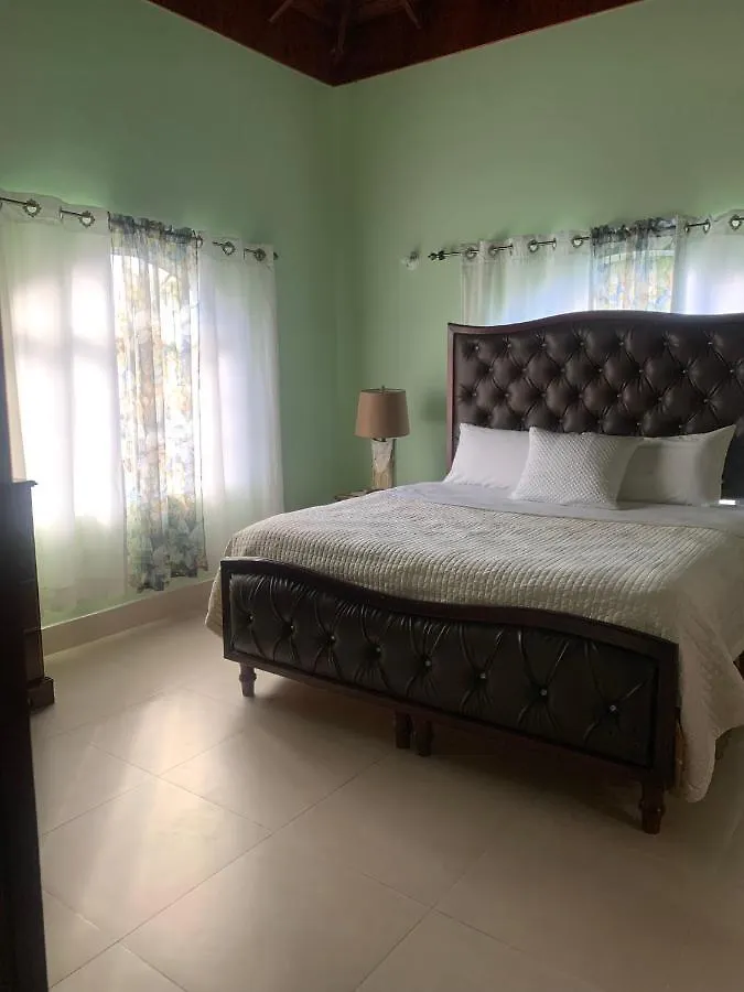 White House By White River Ocho Rios Apartment