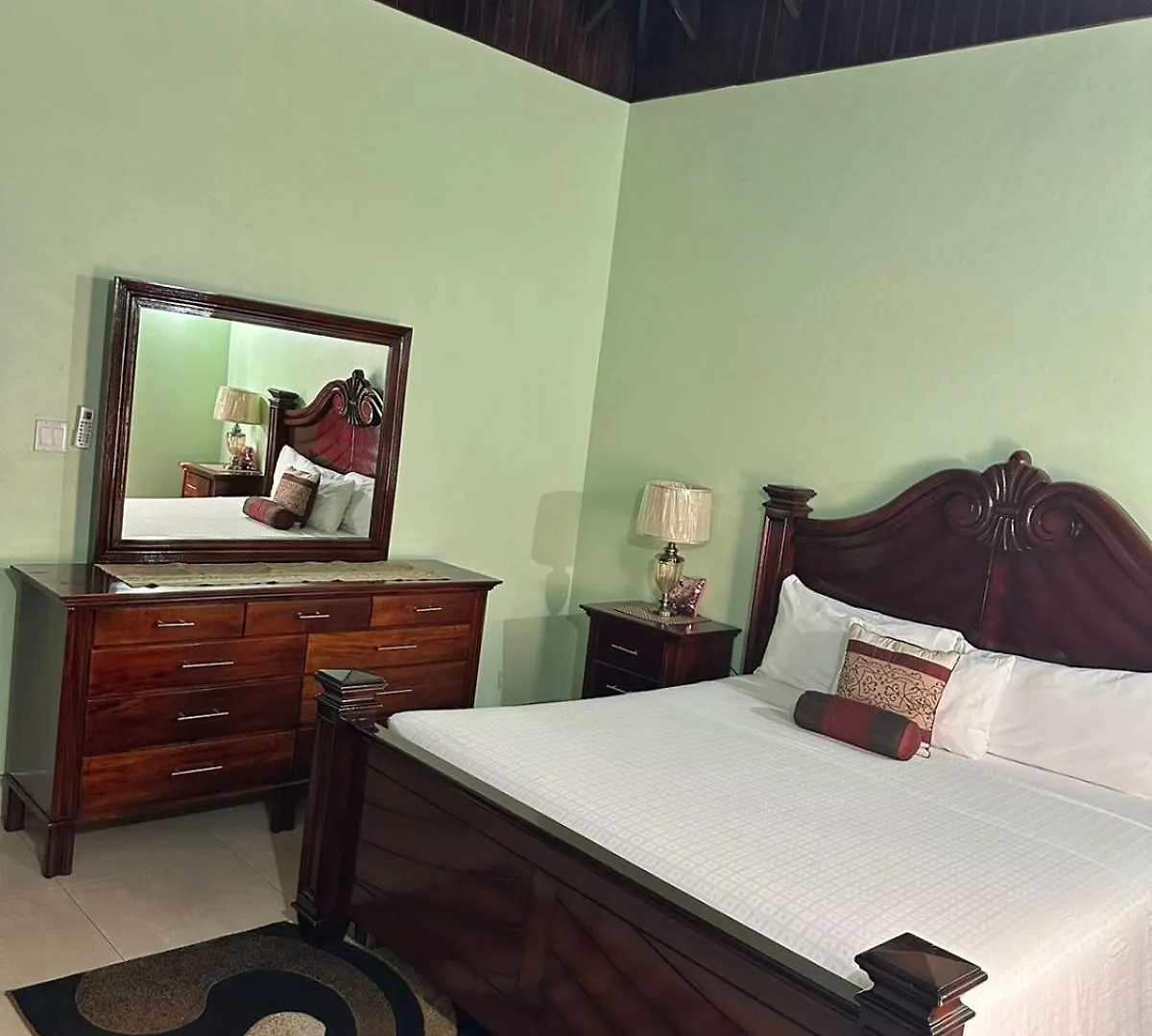 White House By White River Ocho Rios Apartment